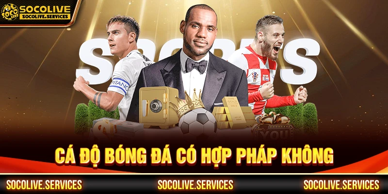 cá độ bóng đá có hợp pháp không