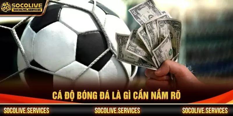 Cá độ bóng đá là gì cần nắm rõ
