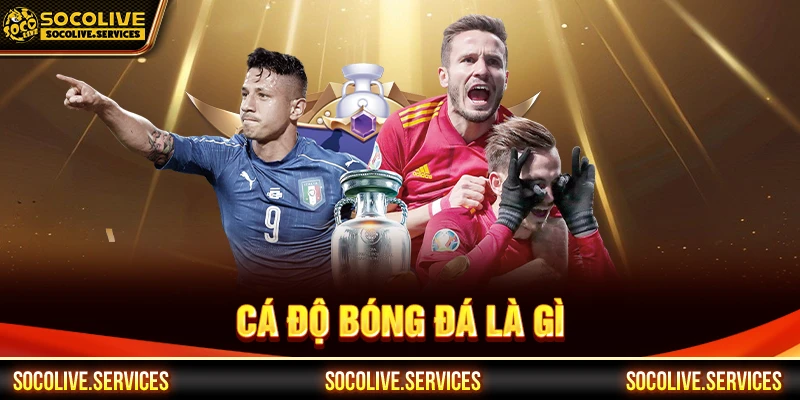 Cá độ bóng đá là gì
