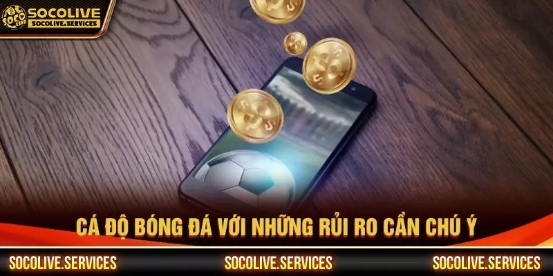 Cá độ bóng đá với những rủi ro cần chú ý