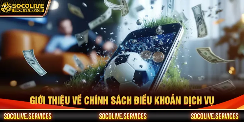 Điều khoản dịch vụ được quy định đảm bảo được công bằng