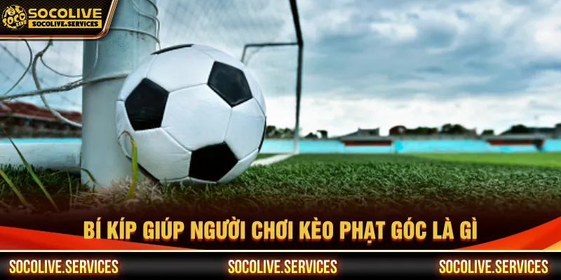 Kèo phạt góc là gì và bí kíp để nâng cao khả năng thắng lớn