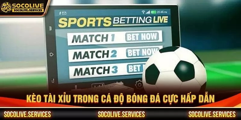 Kèo tài xỉu trong cá độ bóng đá cực hấp dẫn
