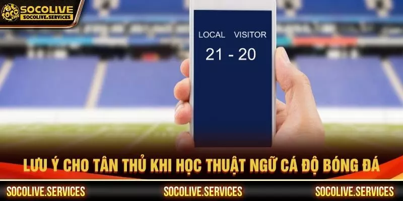 Lưu ý cho tân thủ khi học thuật ngữ cá độ bóng đá