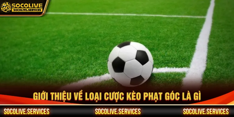 Người chơi khi tham gia Socolive cần biết kèo phạt góc là gì
