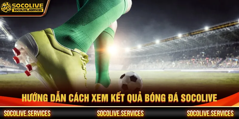 Người mới thực hiện theo từng bước để xem kết quả bóng đá
