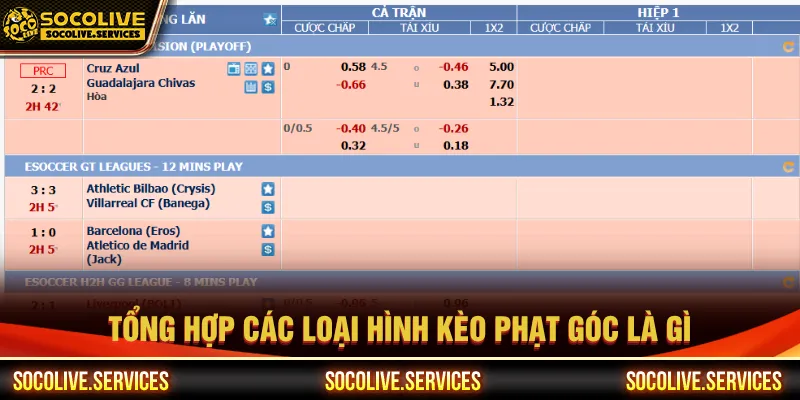 Nhiều hình thức đặt cược giúp bạn có cơ hội thắng dễ dàng