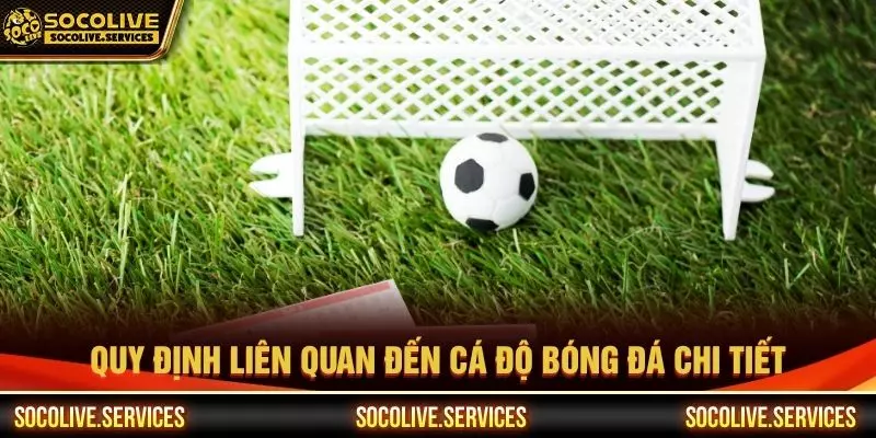 Quy định liên quan đến cá độ bóng đá chi tiết