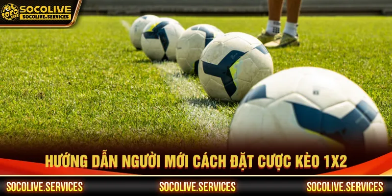Tận dụng các bí quyết để bắt đầu trải nghiệm kèo 1x2 là gì