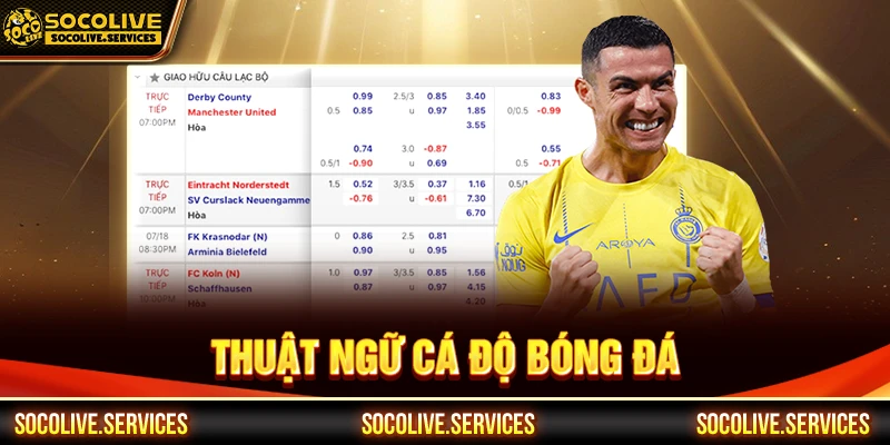 thuật ngữ cá độ bóng đá