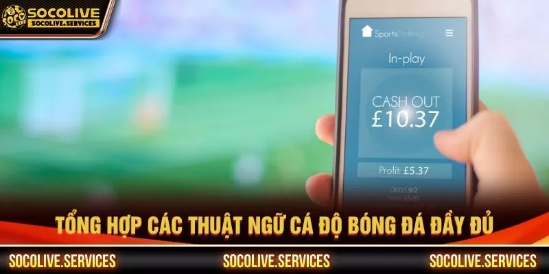 Tổng hợp các thuật ngữ cá độ bóng đá đầy đủ