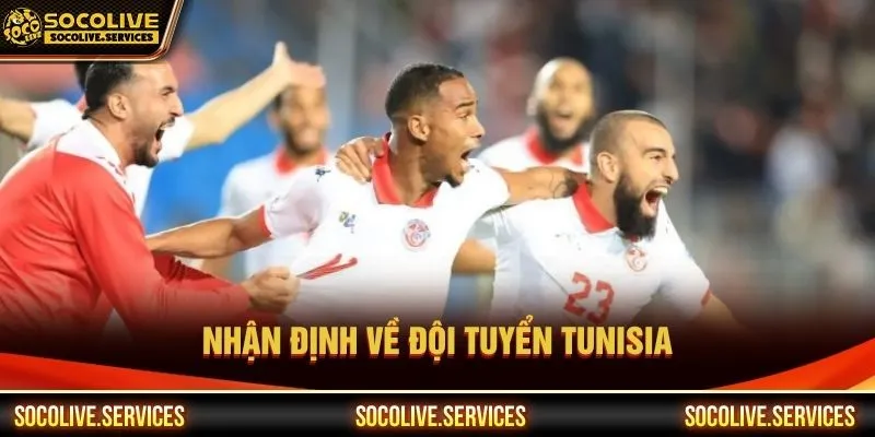 Nhận định về đội tuyển Tunisia ngày 15/06/2026